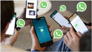 Business promotion in WhatsApp: who will suit, promotion methods